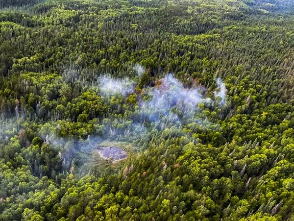 Smoke rises from a forest