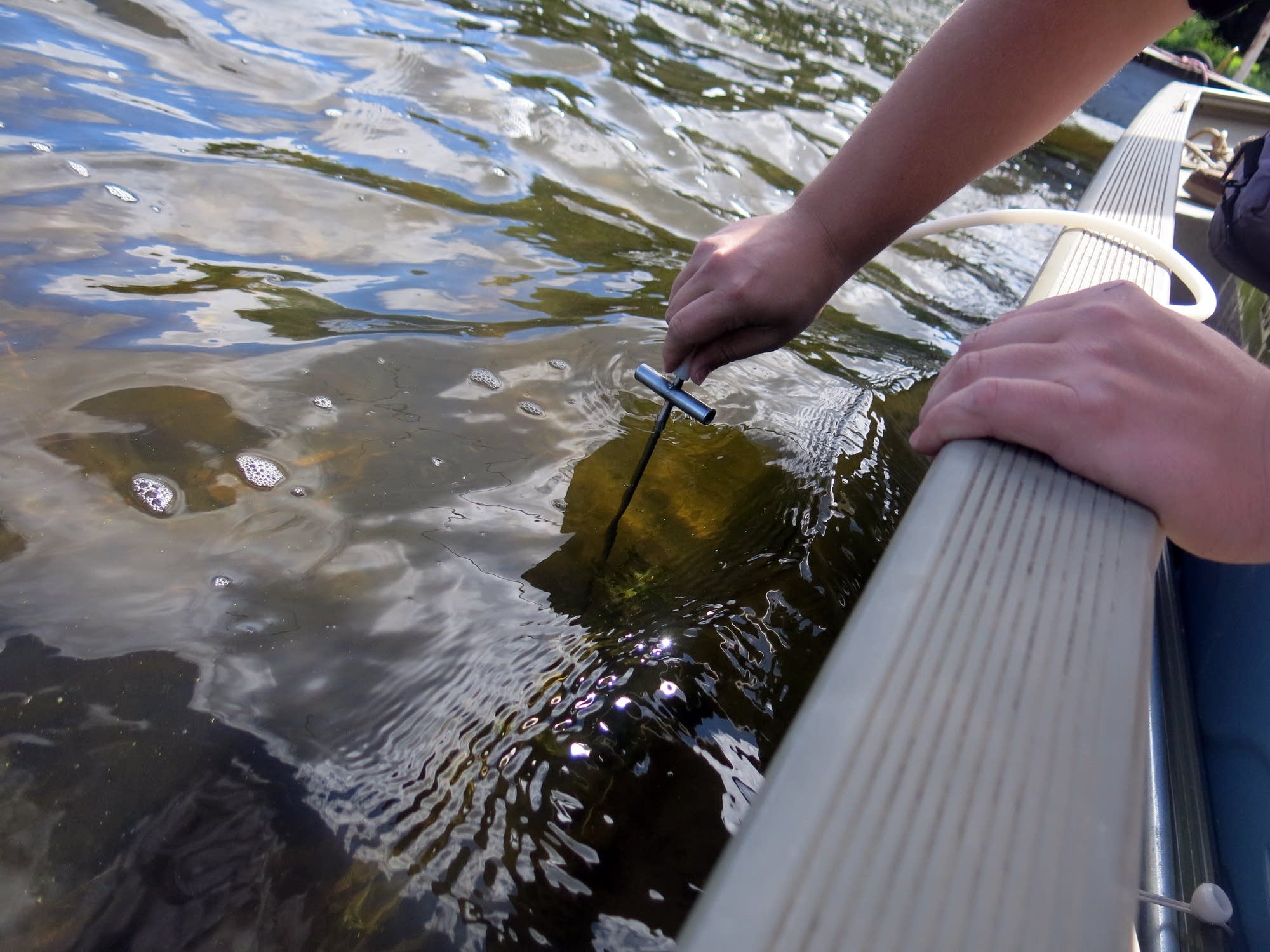 Collecting water near the lake shore.