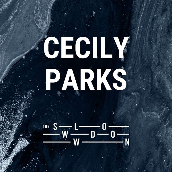 20260129 Slowdown Parks