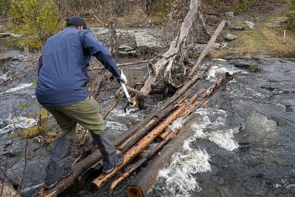 Volunteers 'vacuum' 6 miles of fire-ravaged trail in Boundary Waters