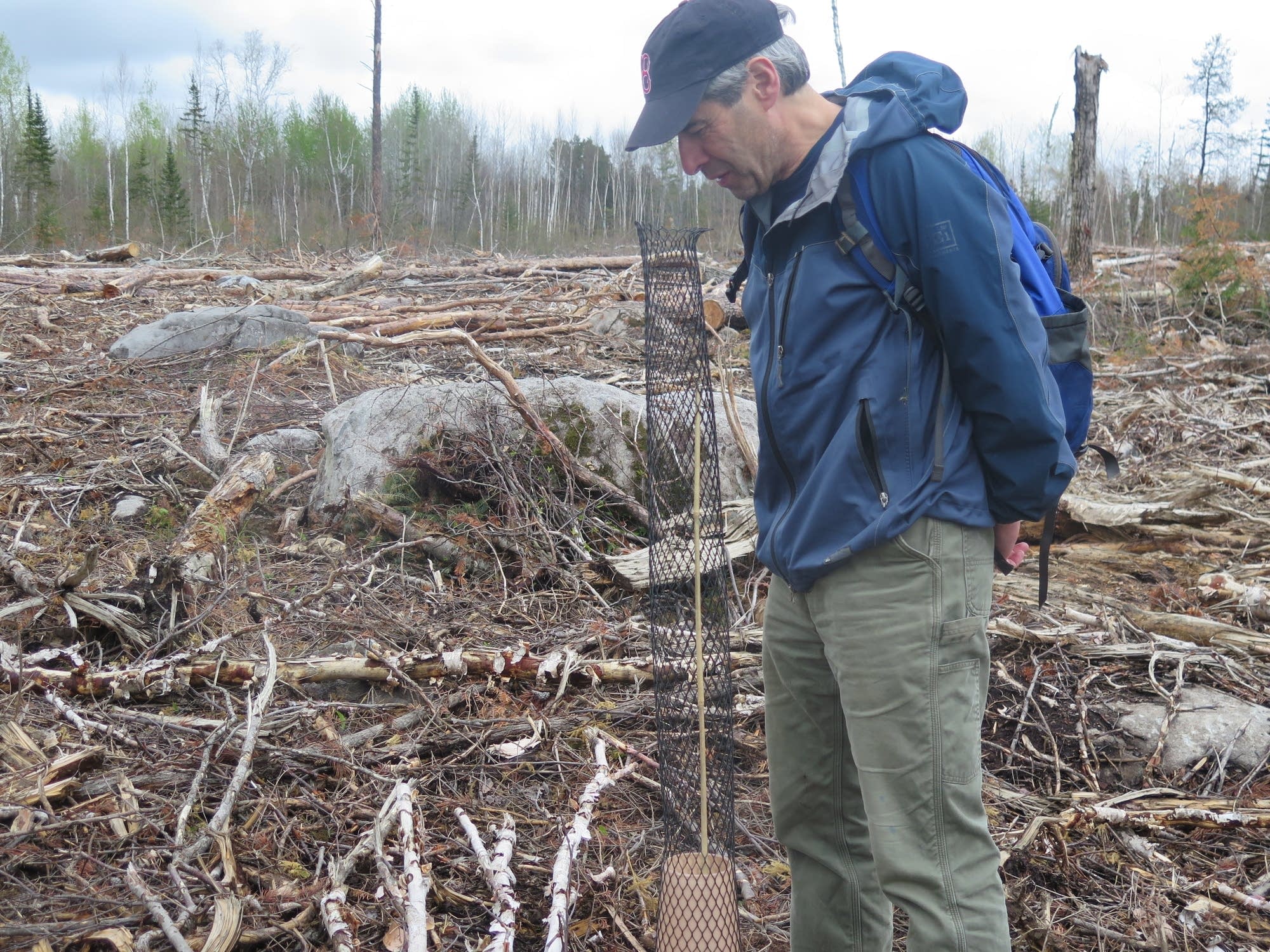 Nature Conservancy forest ecologist Mark White