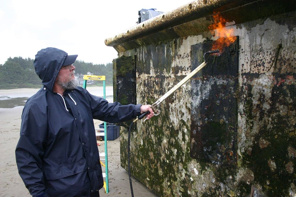 Battling invasive species
