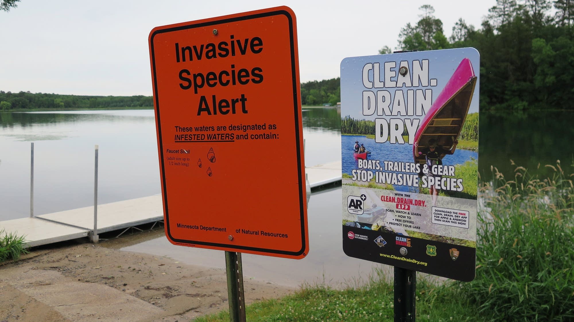 What makes something invasive? A new book explores that, and environmental loss