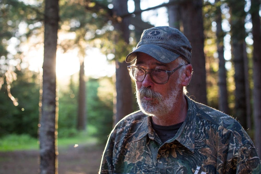 Searching for Bigfoot in northern Minnesota MPR News