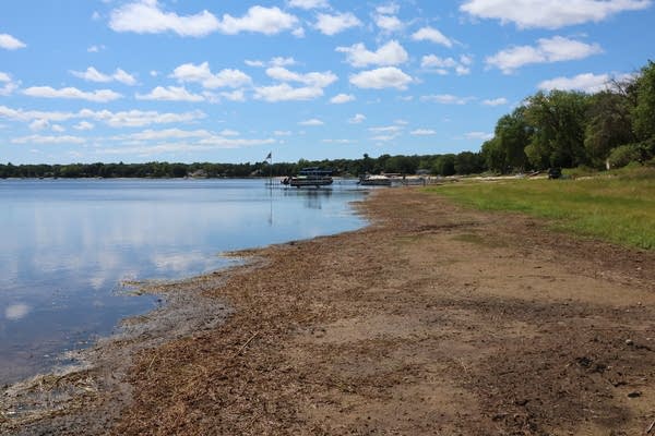 Mud flats along a lake shoreline.