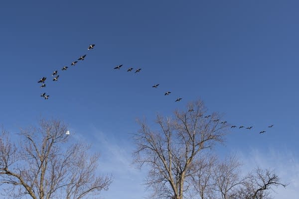 April is here. Trending slightly milder through the weekend