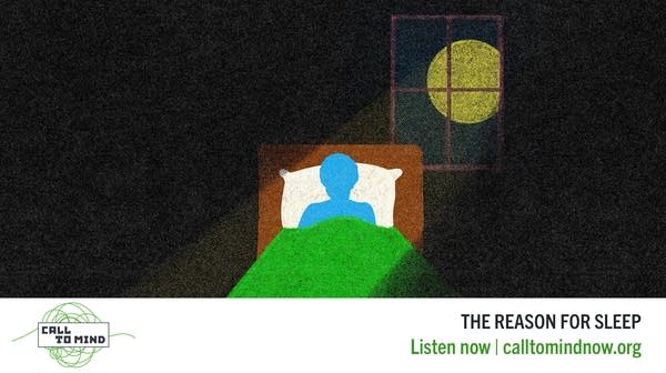 An illustration showing a person lying in a bed with moonlight shining through the window.