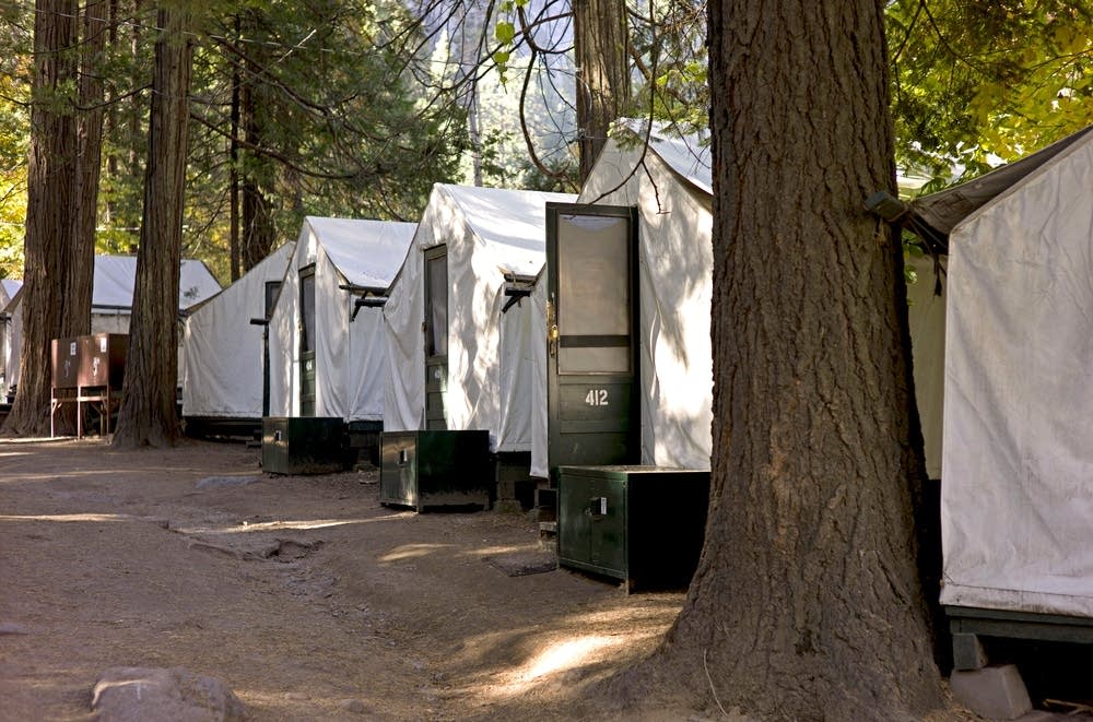 Curry Village Yosemite