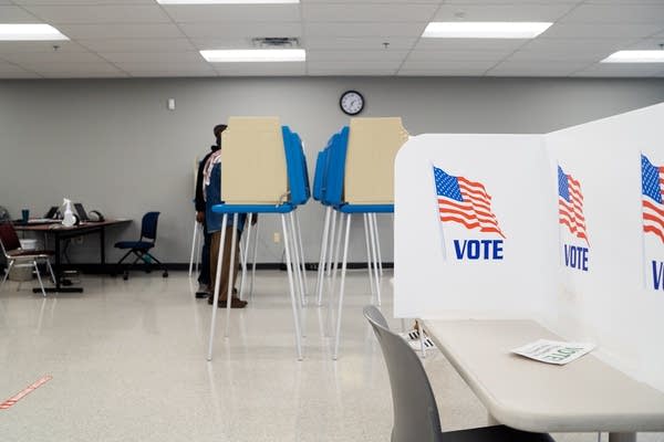 People stand at voting booths.