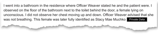 An excerpt from a report.