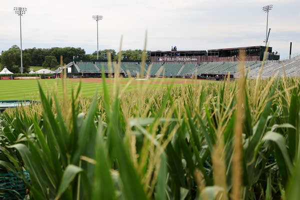 The Field of Dreams