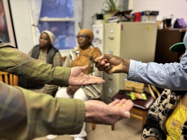 People look at seeds