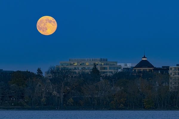 Photos: See the Beaver Moon, the brightest supermoon of 2025, over Minneapolis
