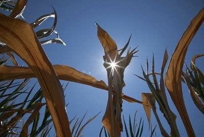 Time for farmers to get the message