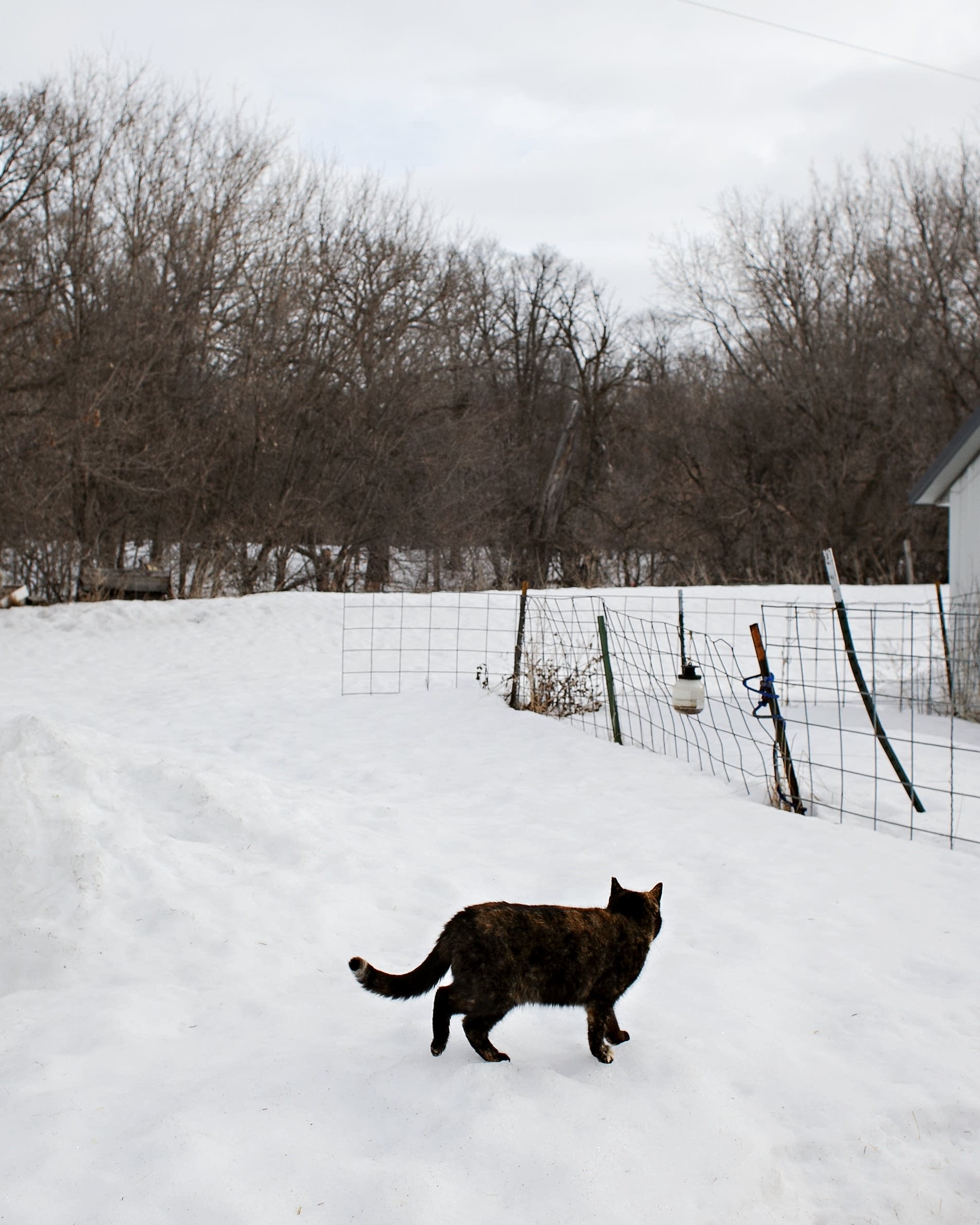 buffalo river work on It Has A Temper Floodwaters Test A Red River Valley Family Farm Mpr News
