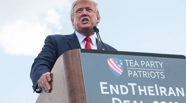 Former U.S. Republican presidential candidate Donald Trump speaks at a rally organized by the Tea Party Patriots against the Iran nuclear deal in front of the Capitol in Washington, DC, on September 9, 2015.