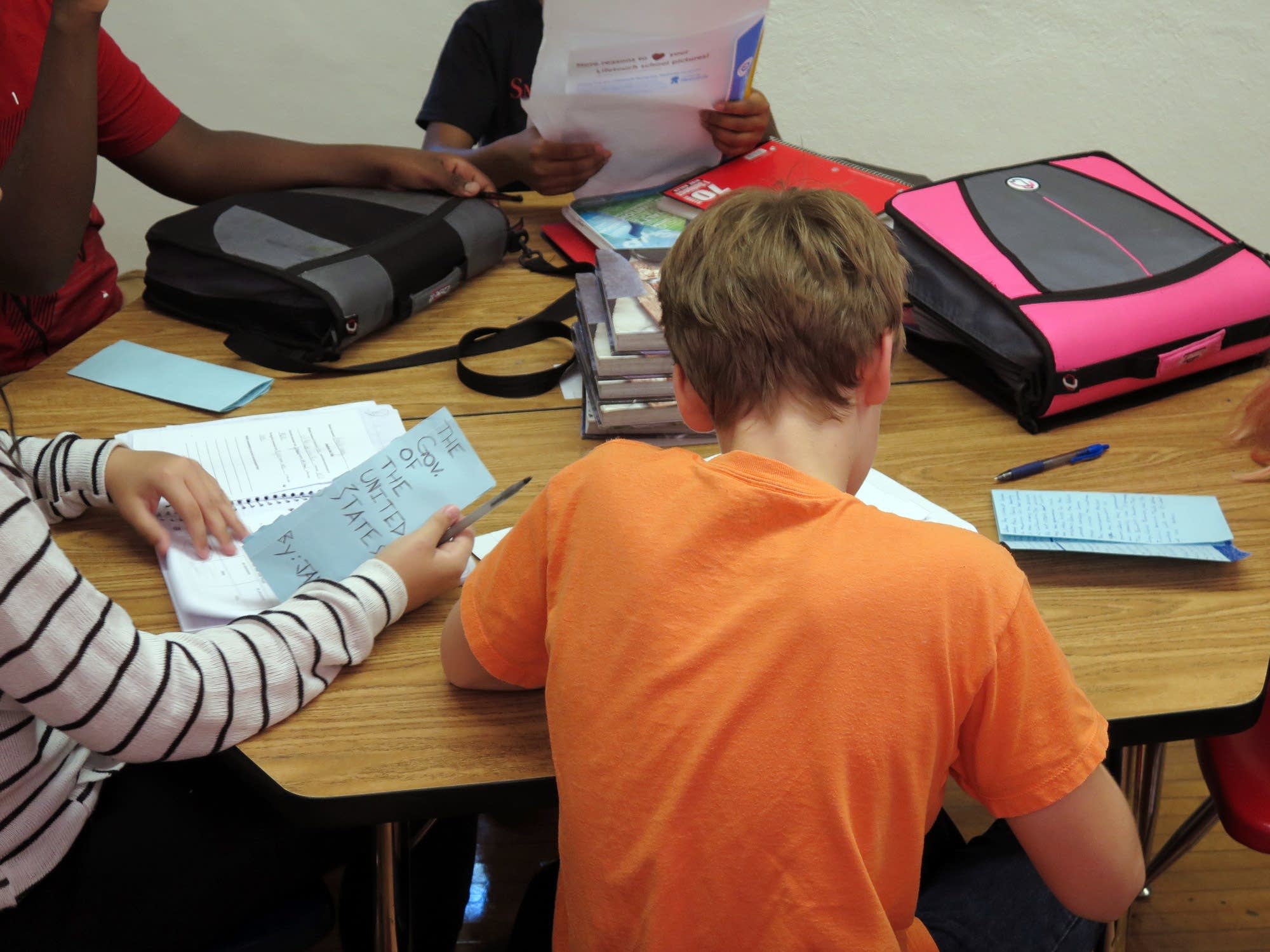 Students study the political system.