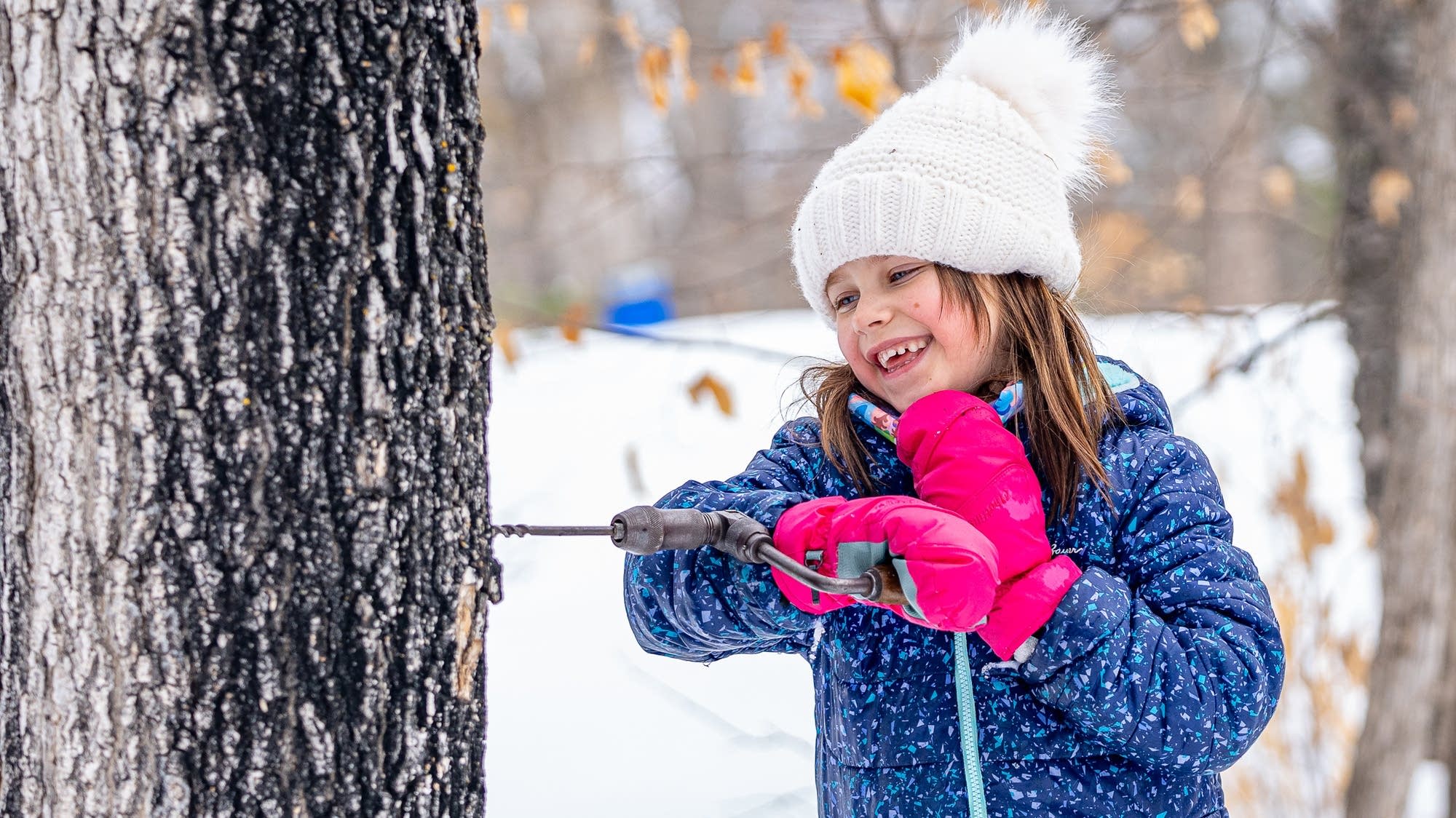 Maple Syrup Spring The art of maple syrup — and observing spring’s arrival — at the Forest ...