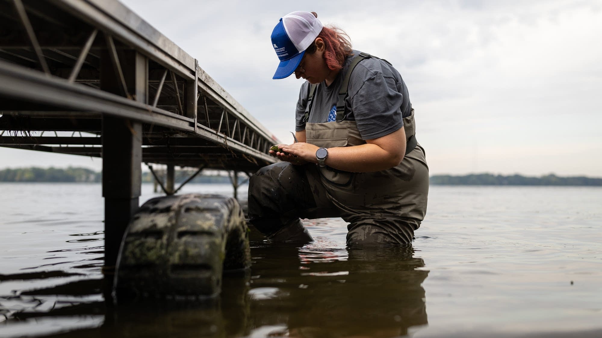 Scientists look for cause of swimmer’s itch in lakes