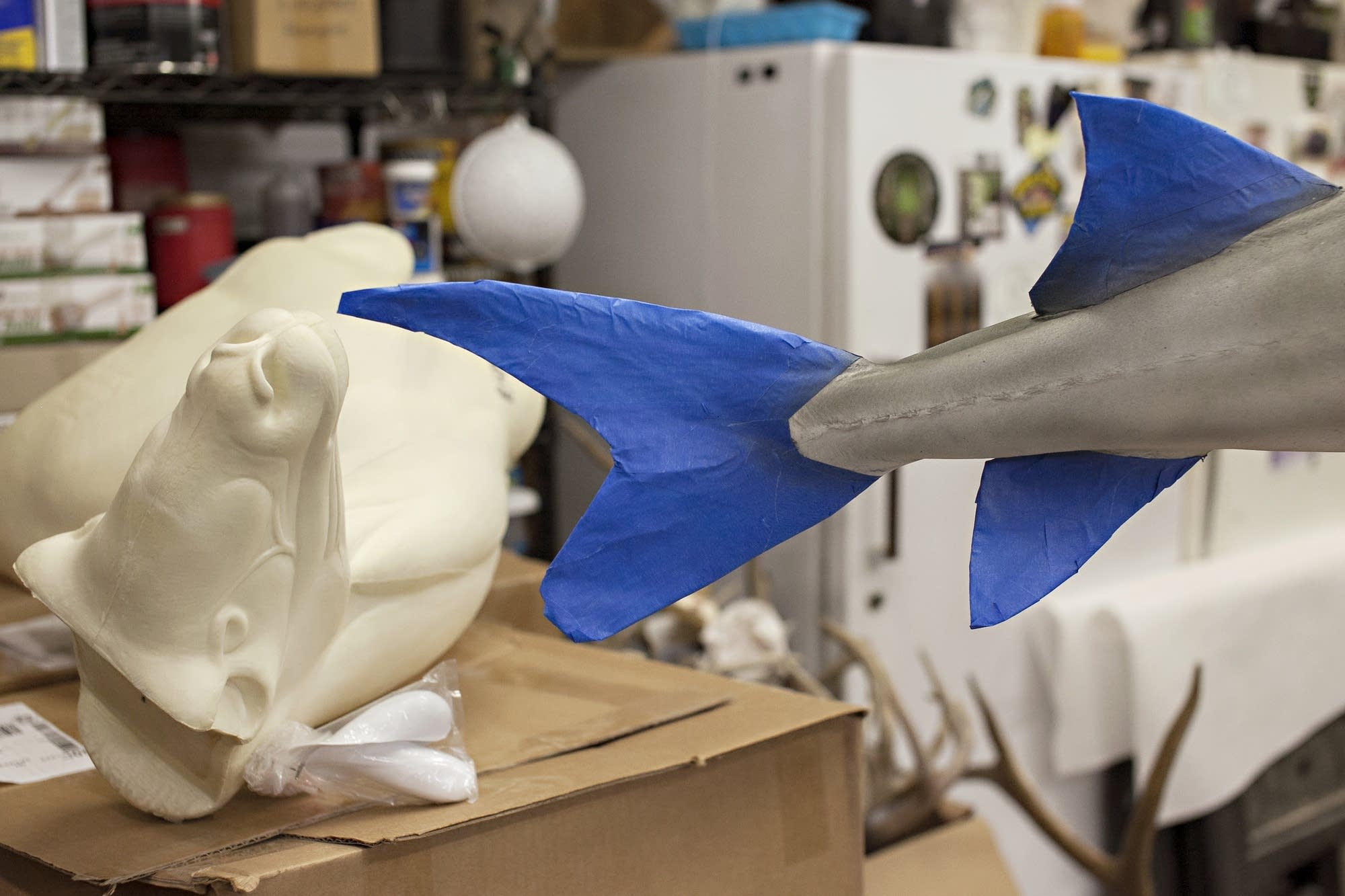 Painter's tape clearly defines the tail and fins of a replica sturgeon.