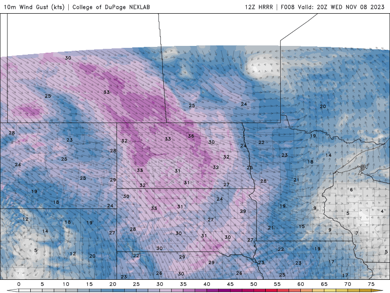 winds 8a