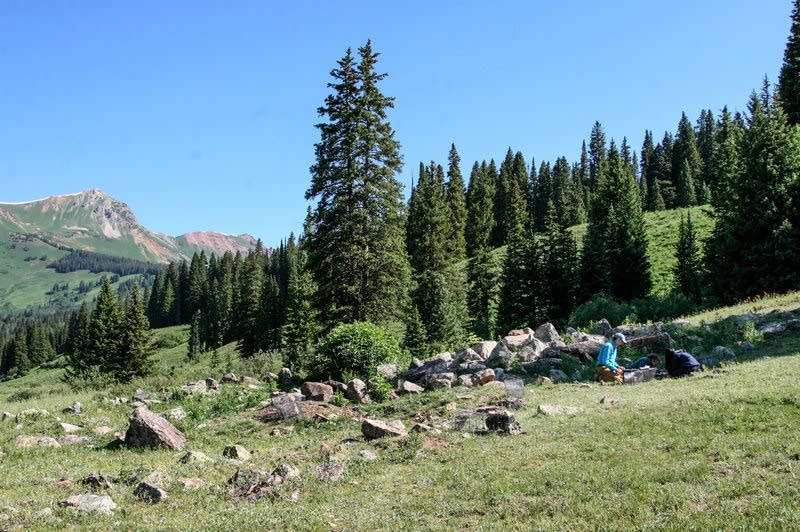 The UCLA marmot team process yellow-bellied marmots they've trapped.