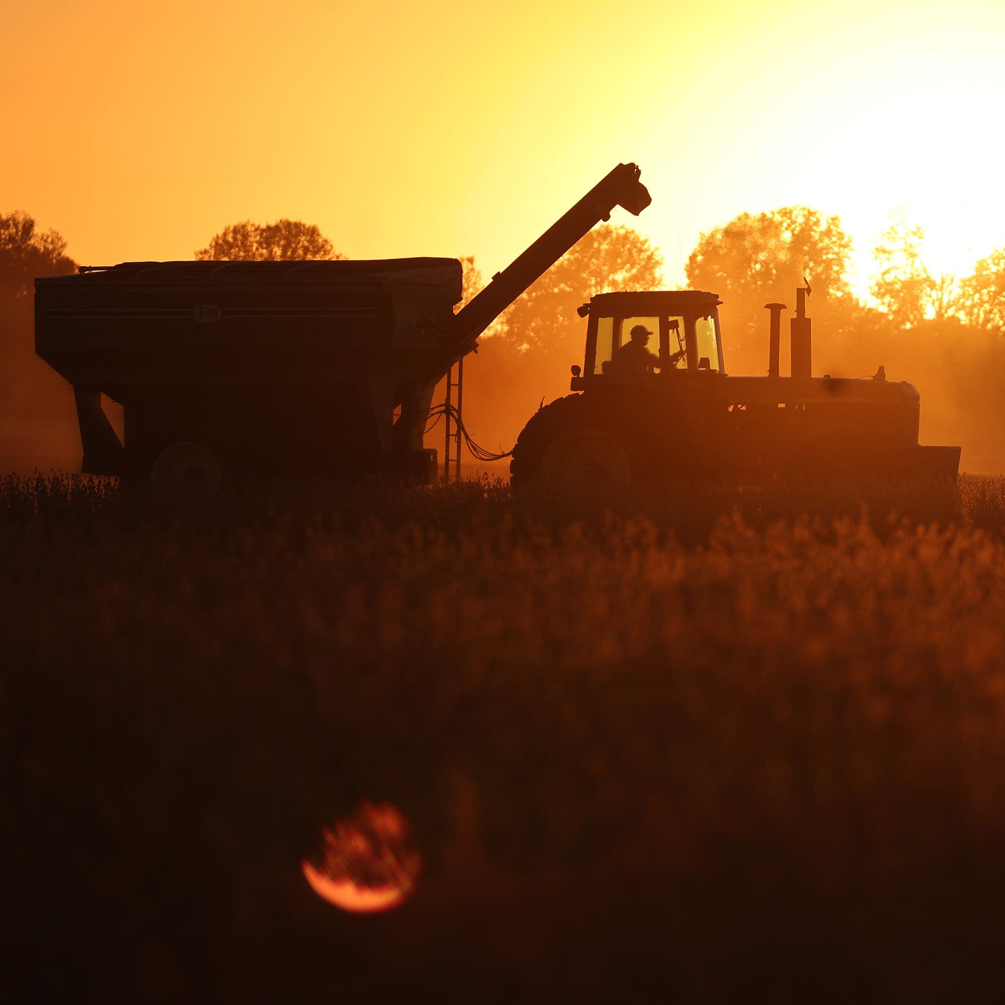 A harsh economic reality for famers