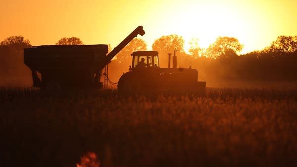 A harsh economic reality for famers