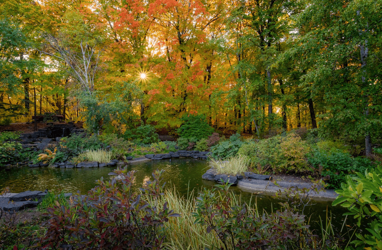 It's here! Peak fall color weekend ahead for the Twin Cities