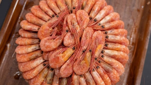 Shrimp in a circle.