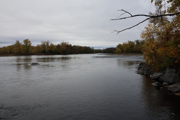 A view of the Mississippi River.