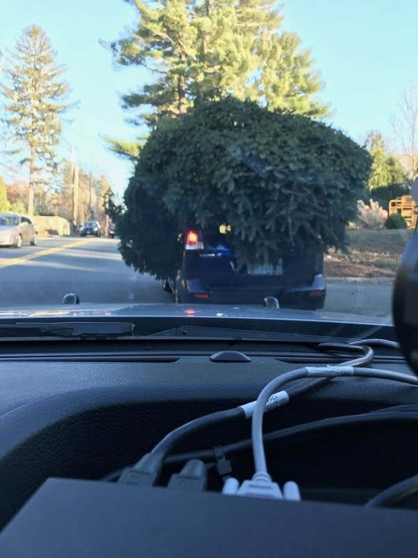 Cops stop Christmas tree on wheels