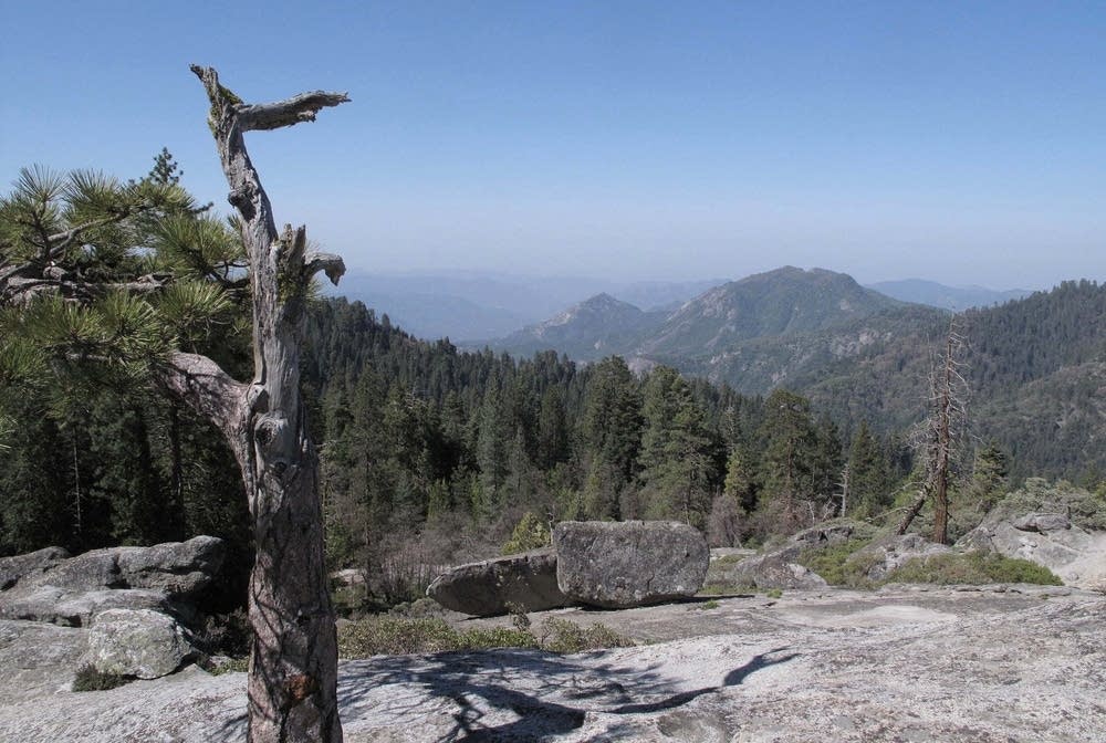 Sequoia National Park