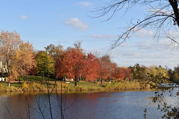 Weekend forecast: Warmer and mostly dry; shower chance northeastern Minn. Saturday a.m.