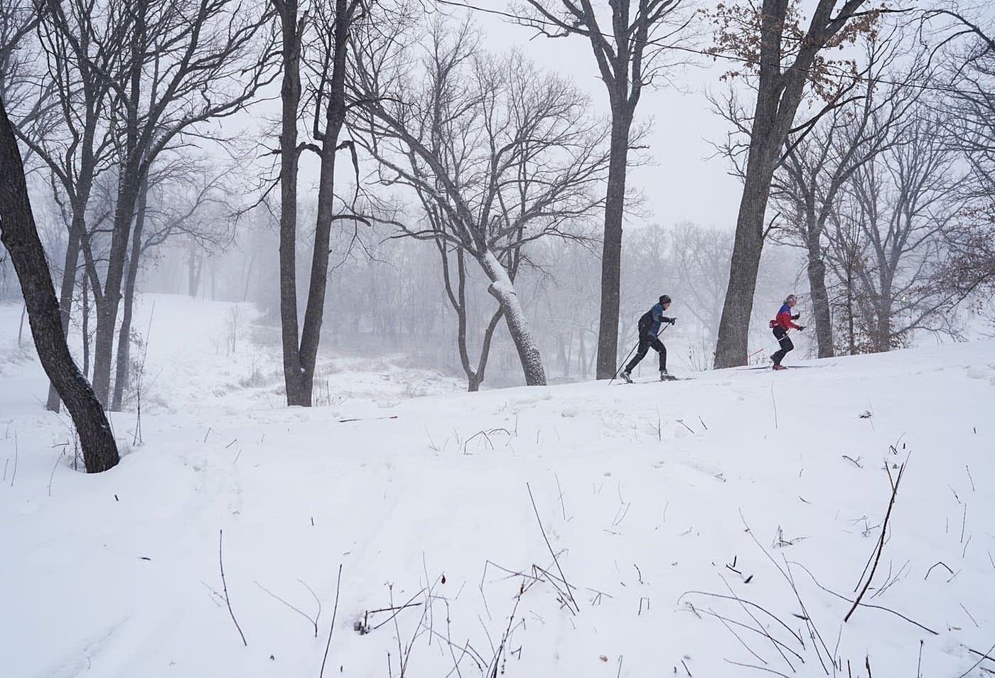 Minnesota DNR reports sales of crosscountry ski pass increased this winter MPR News