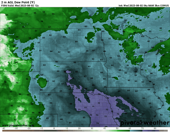 dews fcst