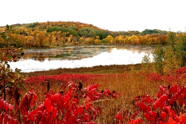 Fall colors