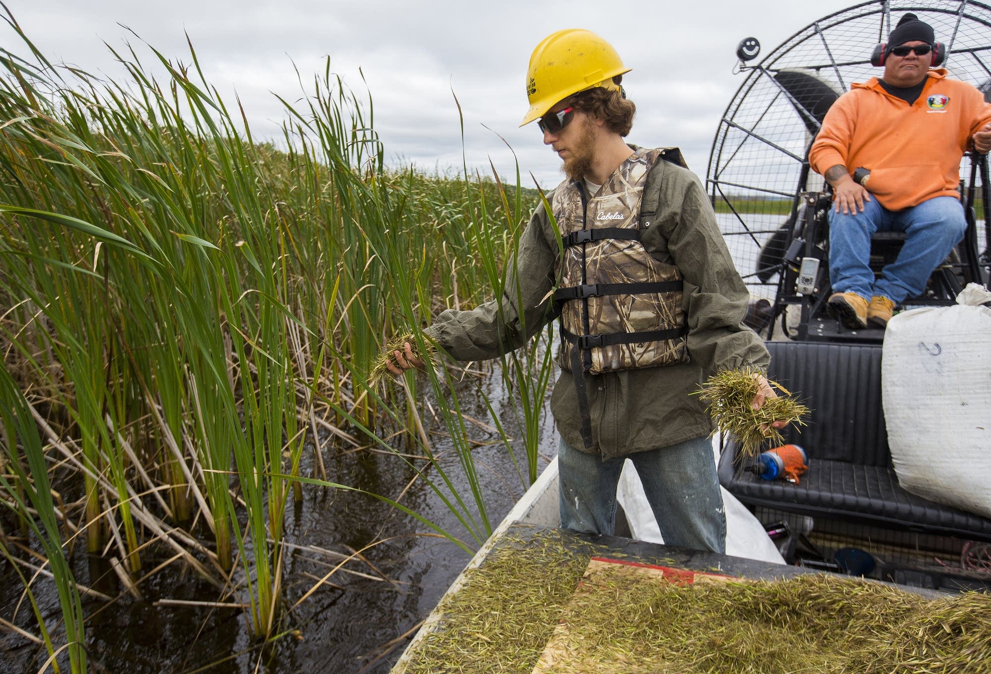 Conservation Corps worker Josh Frick drops seed.