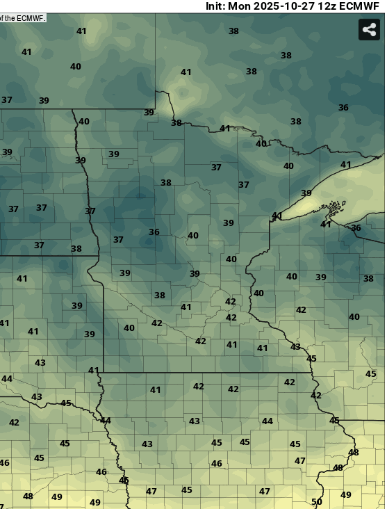 European ECMWF model temperature