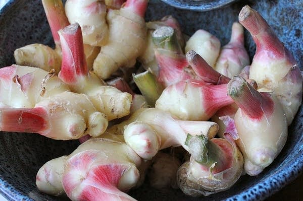 Fresh ginger is juicier, sweeter and pinker than the gnarled, older roots more commonly available.