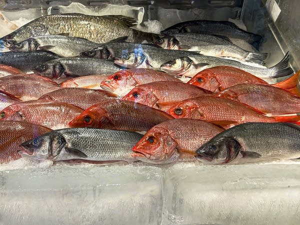 From grilled fish to oysters, seafood makes dinner a breeze as summer reaches its peak