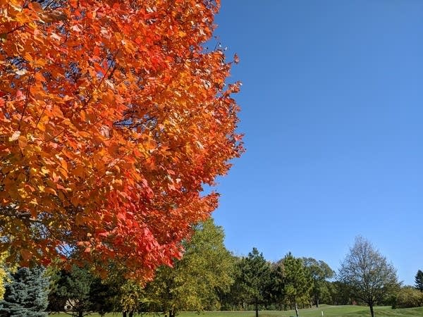 Taste of late summer; 80s return Friday