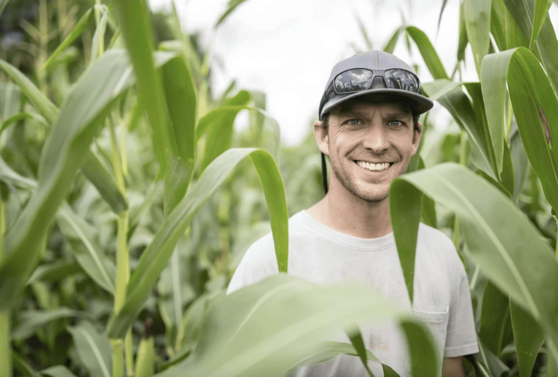 A person in a corn field