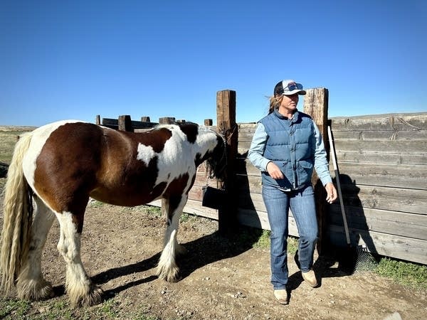 A woman walks next to a brown and white horse. 