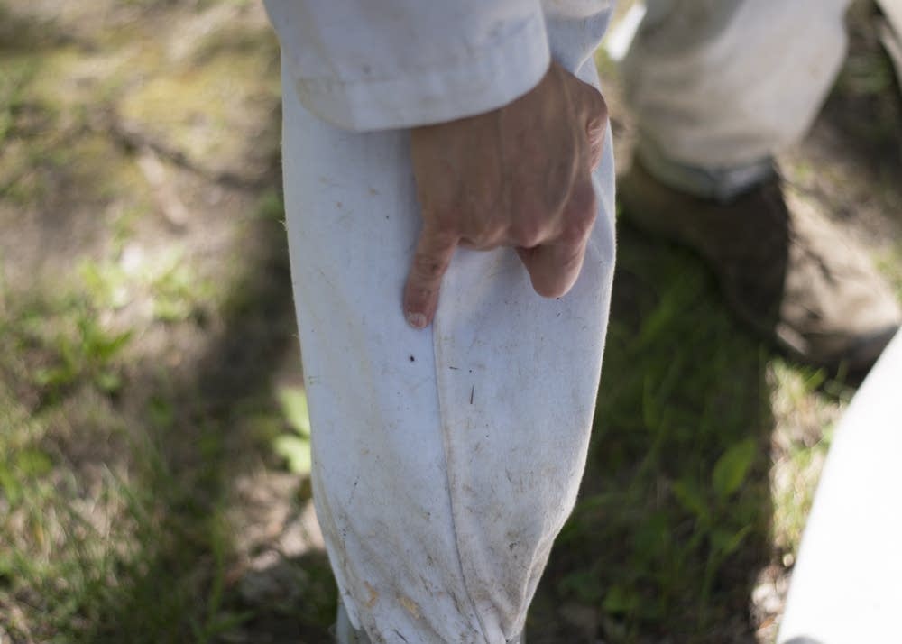 Dave Neitzel finds an adult blacklegged tick.