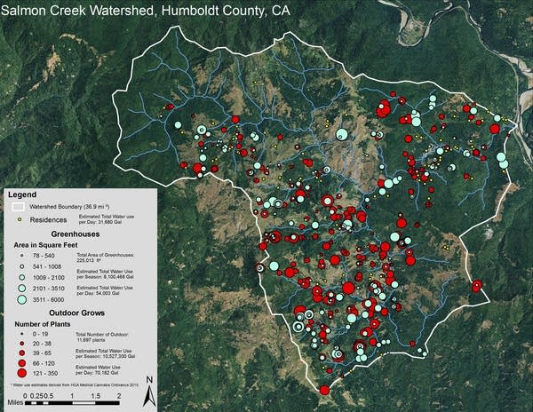 Daily estimated total water