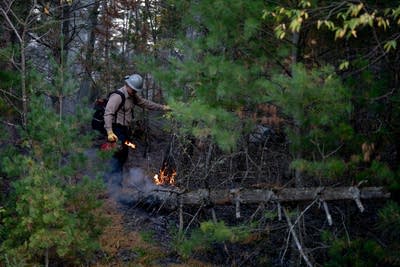 Indigenous fire practice returns to Minnesota Point after 180 years 