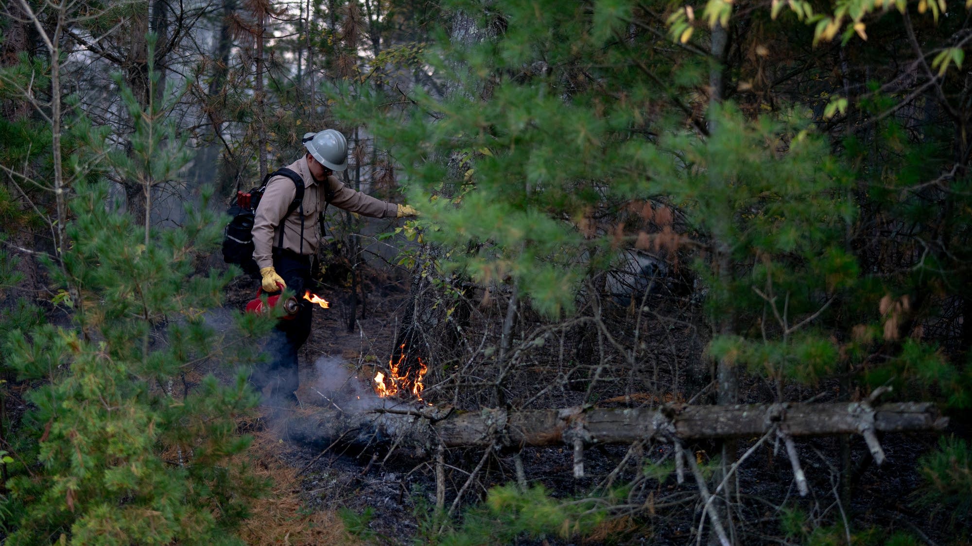 Indigenous fire practice returns to Minnesota Point