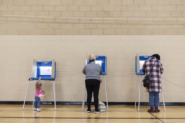 People stand at voting booths in a gym. 