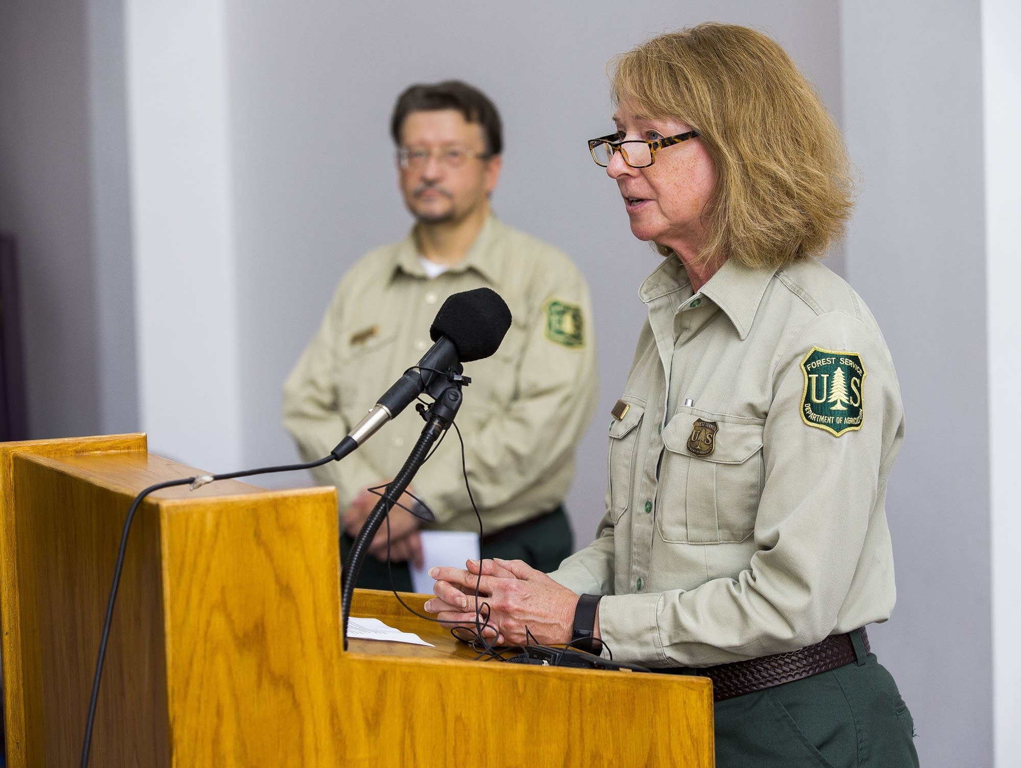 Twin Metals public listening session